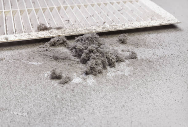 Best Affordable Air Duct Cleaning  in Bainbridge, PA
